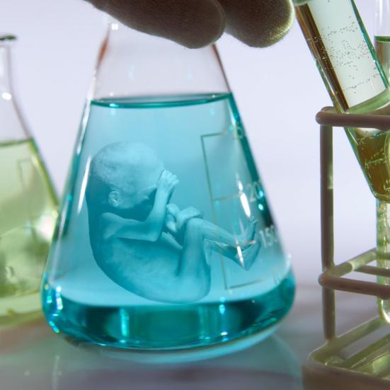 Reagensglas med foster 