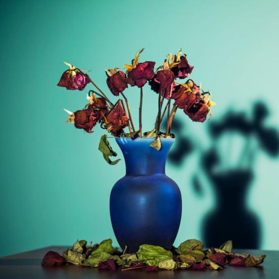 vase med visne blomster