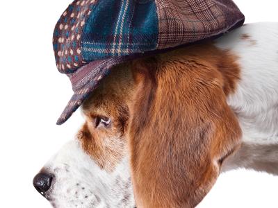 hund med sherlock holmes-hat på hovedet