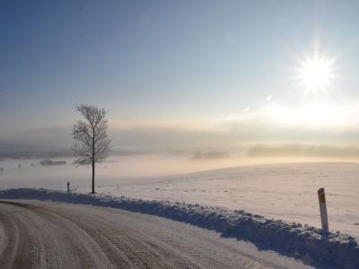Snelandskab og landevej