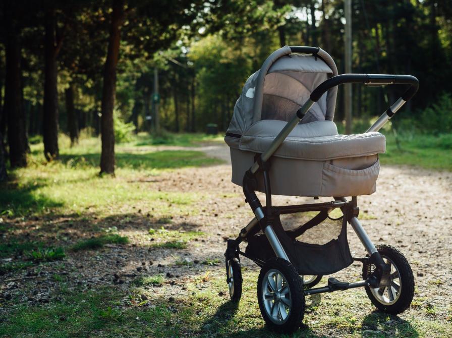 Barnevogn i skoven