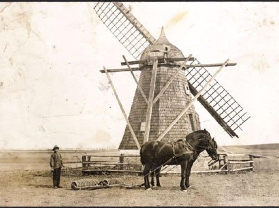 foto af Vandløse Mølle med hest foran