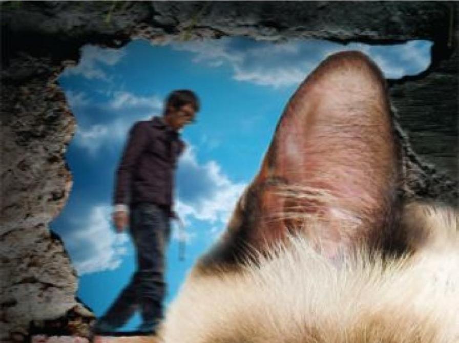 Forsiden af bogen 'Kafka på stranden', forest i billedet ses en kat og bagers en mand