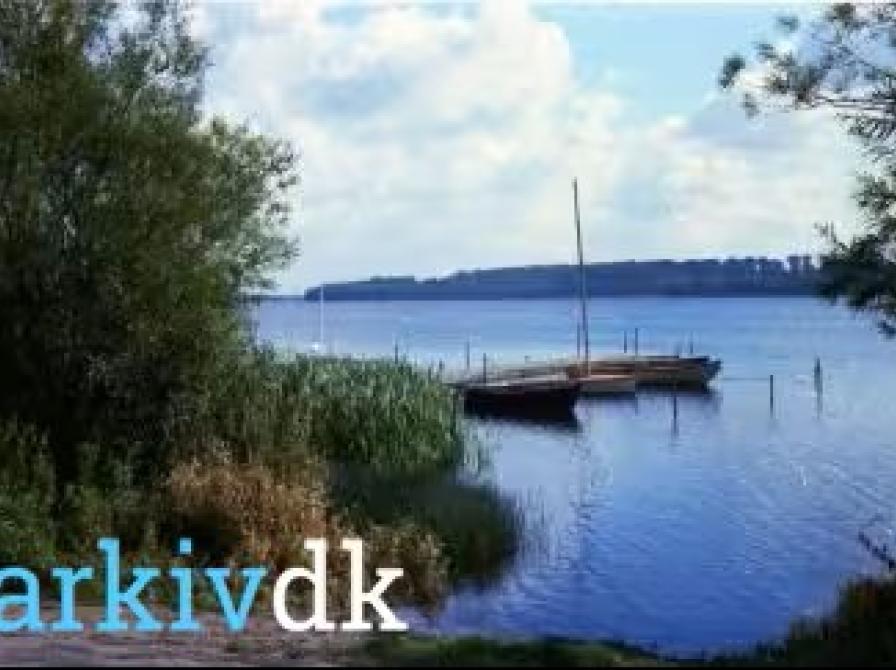 foto af Tystrup Sø med joller og lidt skov