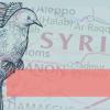 Grafik med Syrien